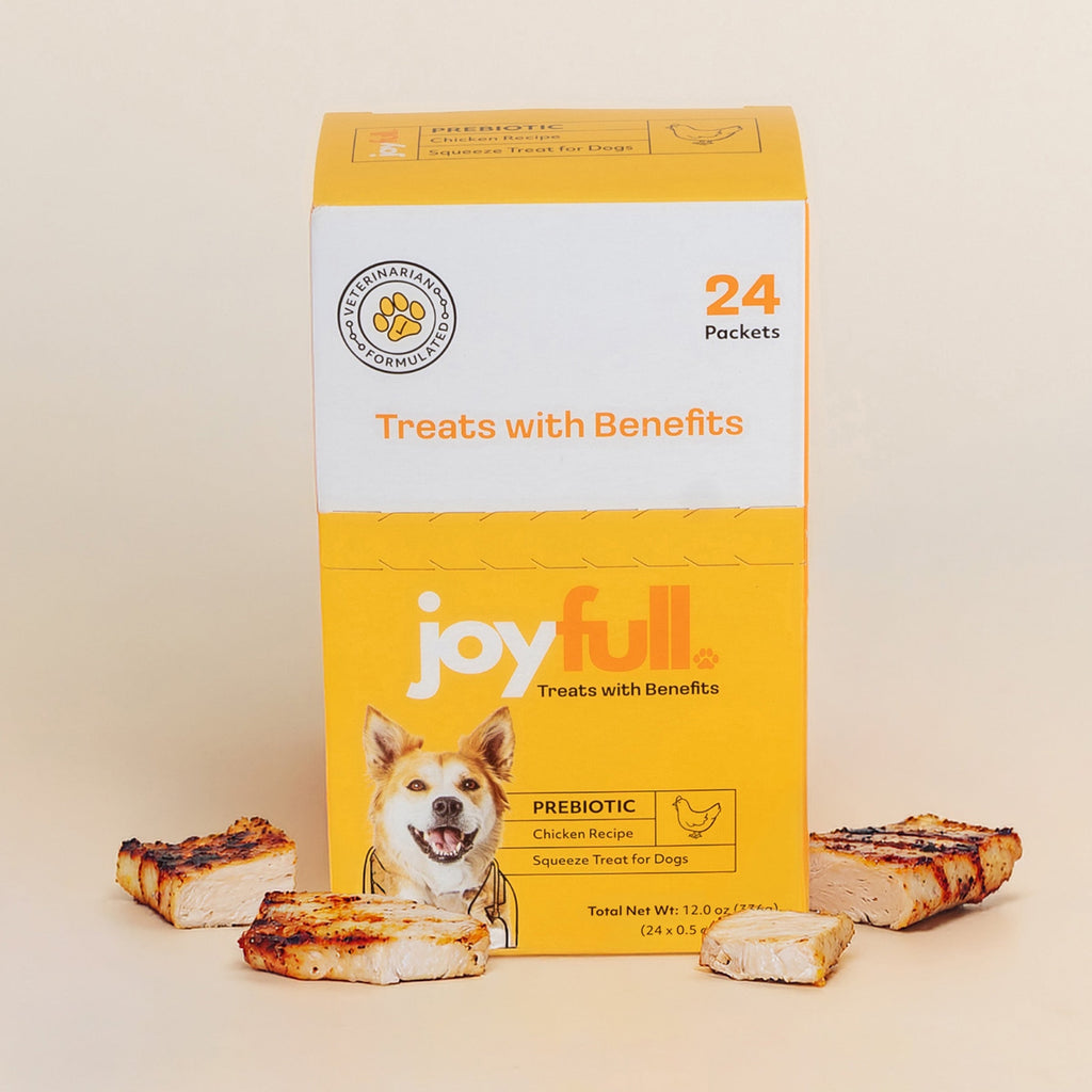 JoyFull prebiotic chicken squeeze treat packets for dogs – photo 1 of 5
