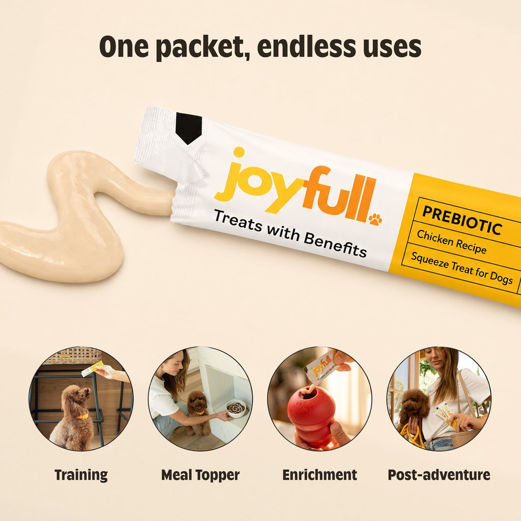 JoyFull prebiotic chicken squeeze treat packets for dogs – photo 3 of 5
