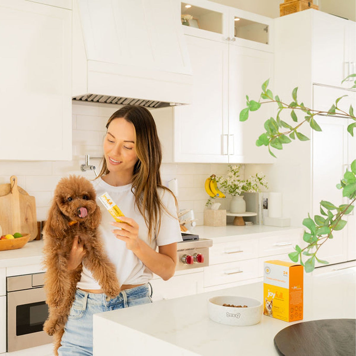 JoyFull prebiotic chicken squeeze treat packets for dogs – photo 4 of 5