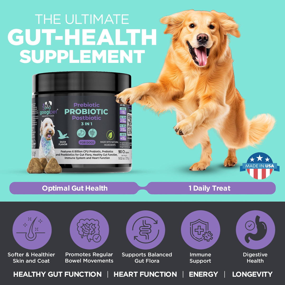 Ultimate gut-health supplement infographic with golden retriever and probiotic chews jar