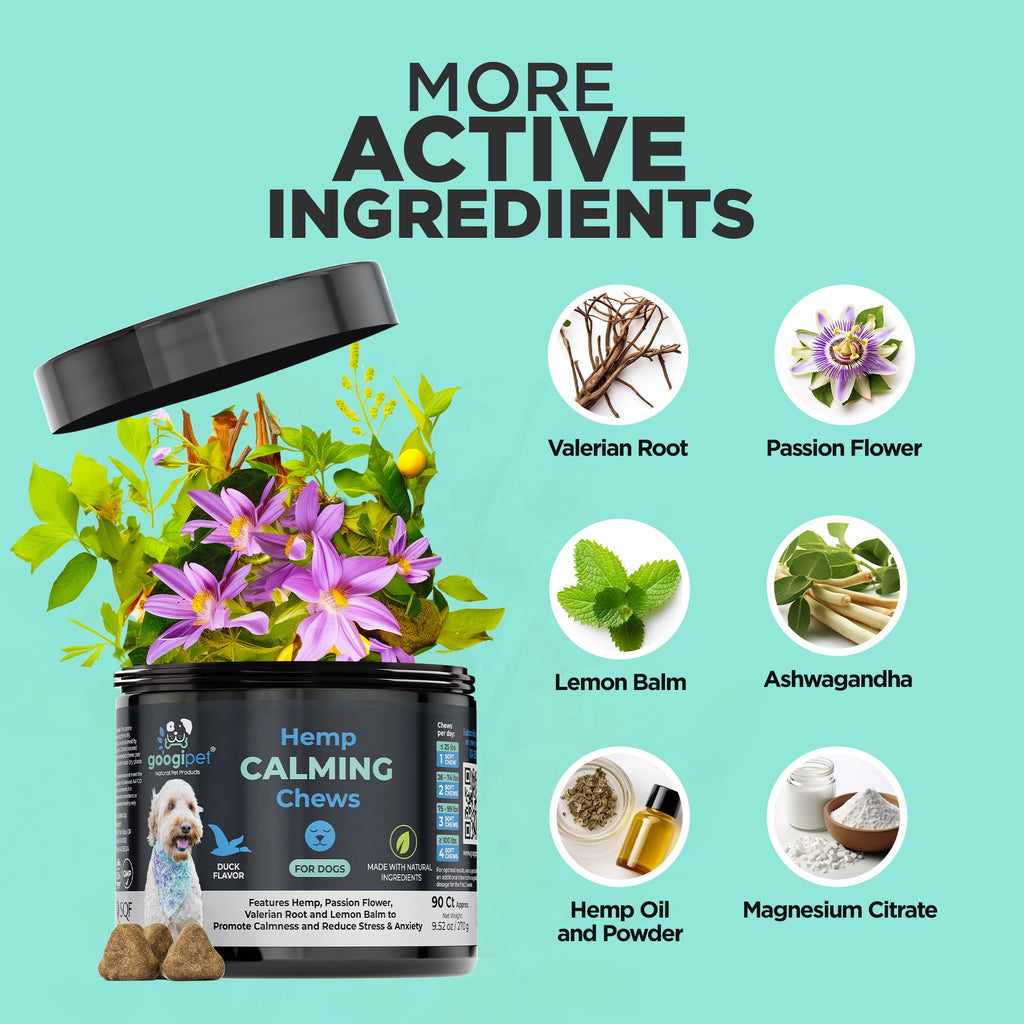 Hemp calming chews active ingredients infographic with valerian root, passion flower, lemon balm and ashwagandha
