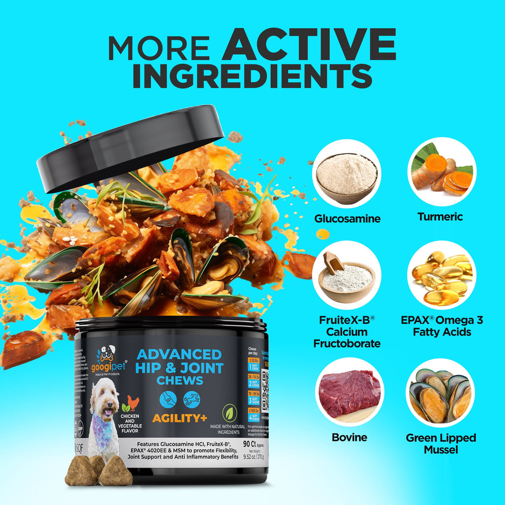 Hip and joint chews active ingredients infographic with glucosamine, turmeric, green lipped mussel and omega 3