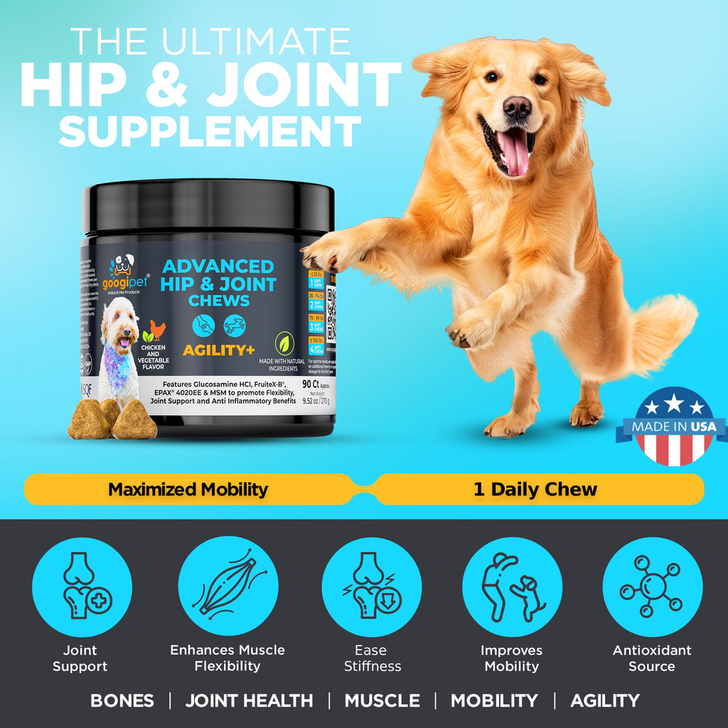Ultimate hip and joint supplement infographic with golden retriever and hip and joint chews jar