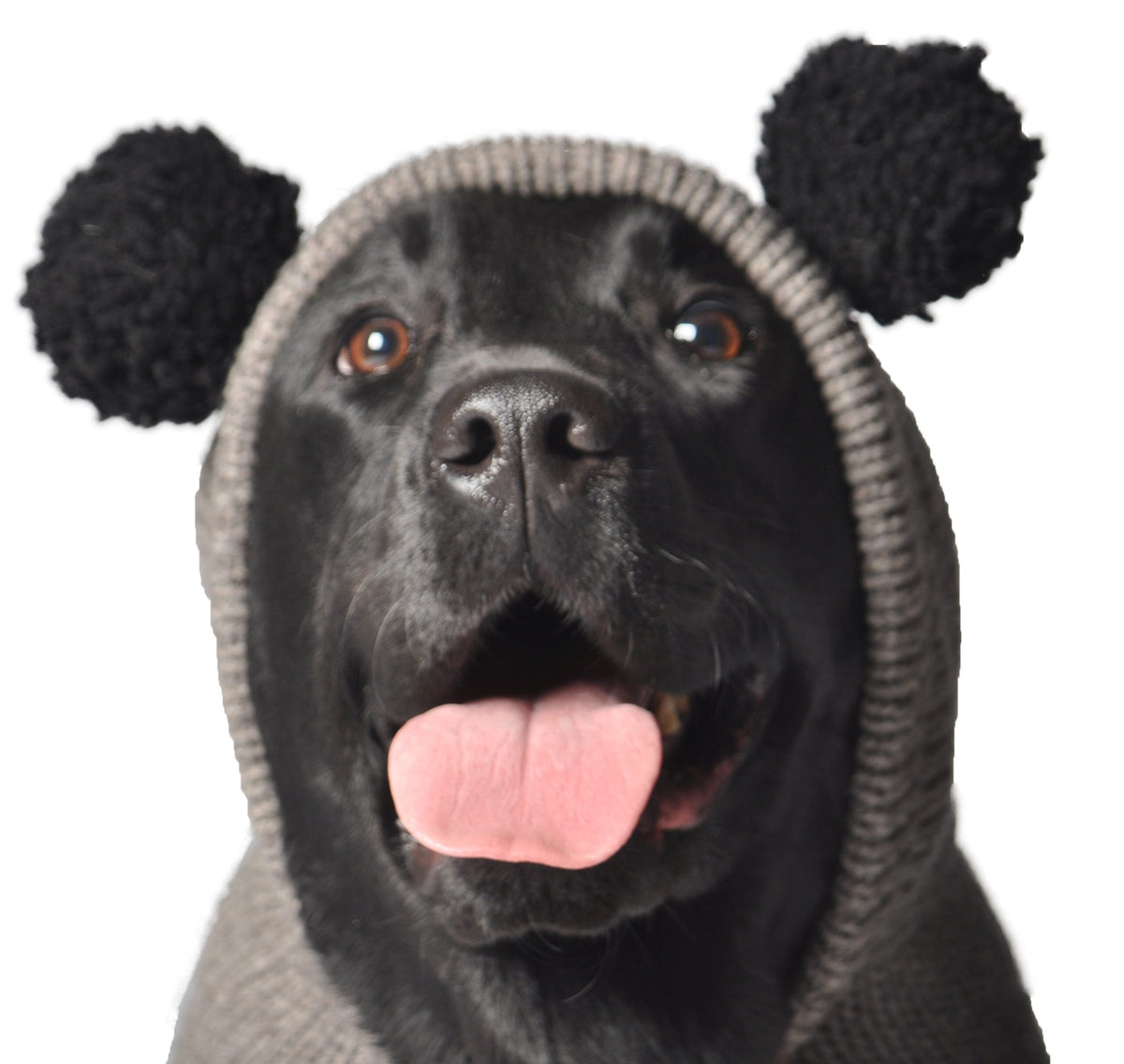 Panda Hoodie Dog Sweater XXS for Teacup Dogs – photo 2 of 2