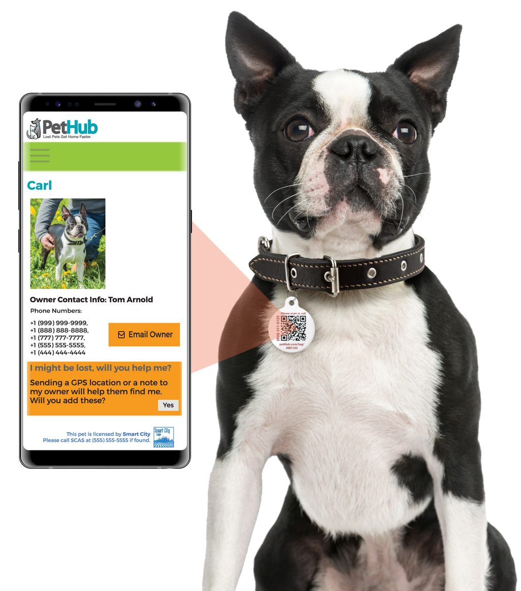 PetHub QR Pet ID Tag – Classic Aluminum – alternate view 2