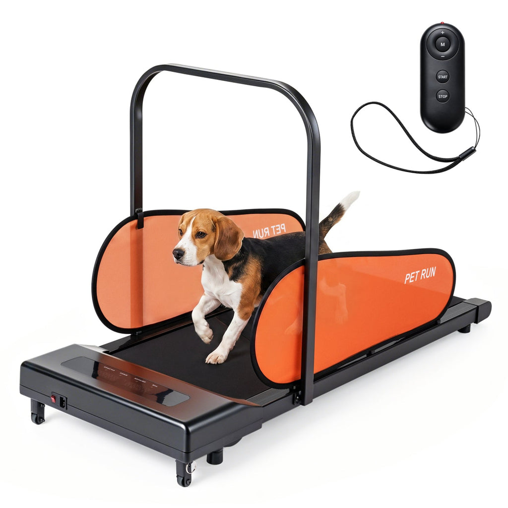 Dog Treadmill with LED Display and Adjustable Speed – photo 3 of 8