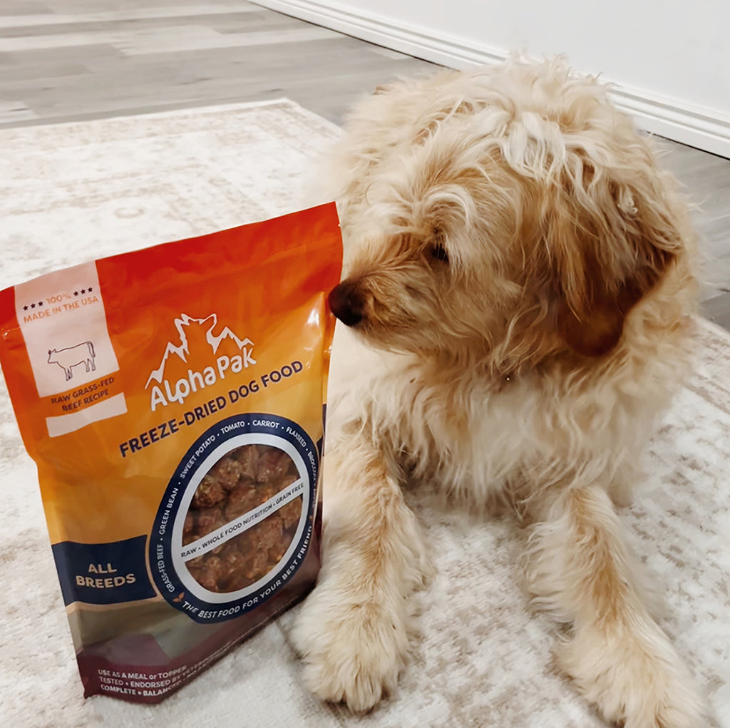 Freeze-Dried Raw Beef Dog Food – Single Ingredient – alternate view 13
