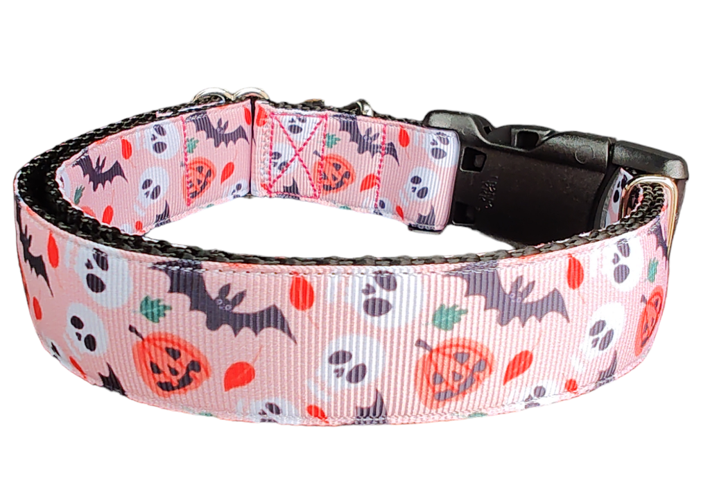 Halloween spooky friends nylon dog collar with pumpkins, bats, and skulls