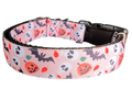 Halloween spooky friends nylon dog collar with pumpkins, bats, and skulls