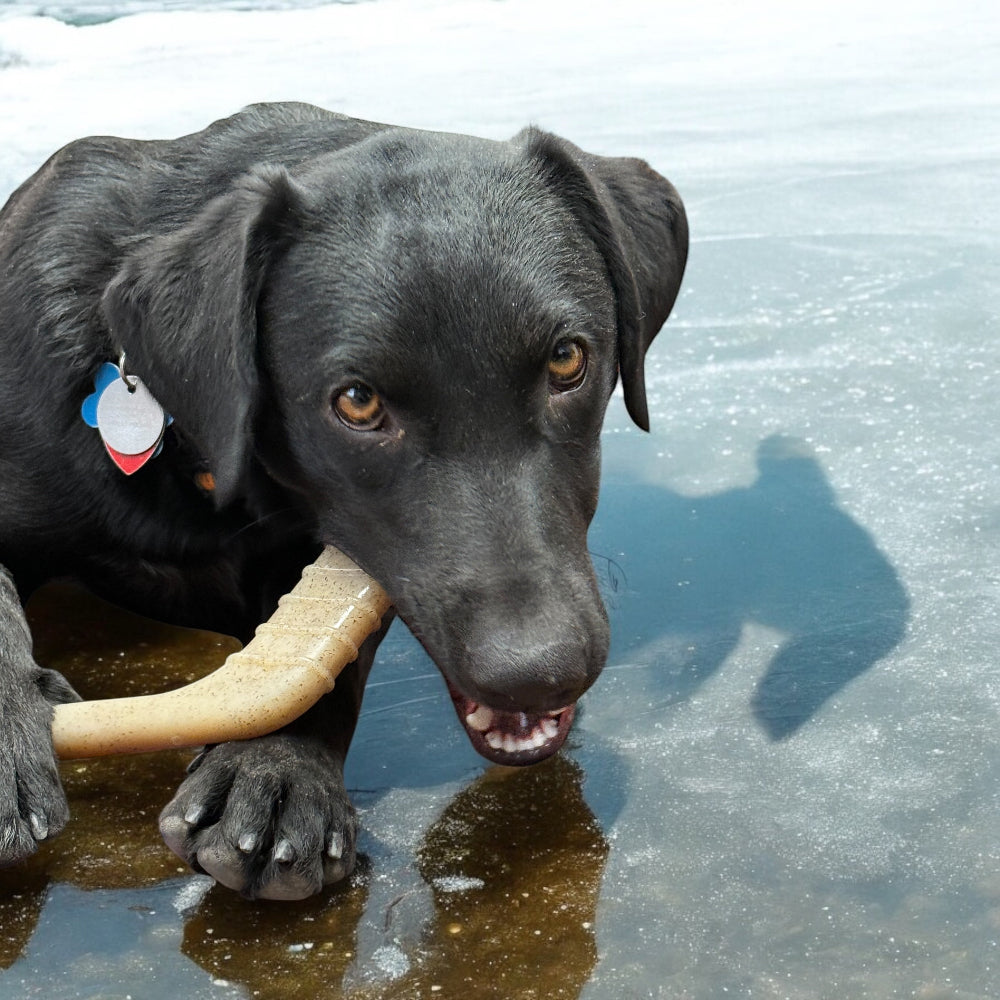 SodaPup Hockey Stick nylon dog chew toy – photo 6 of 9