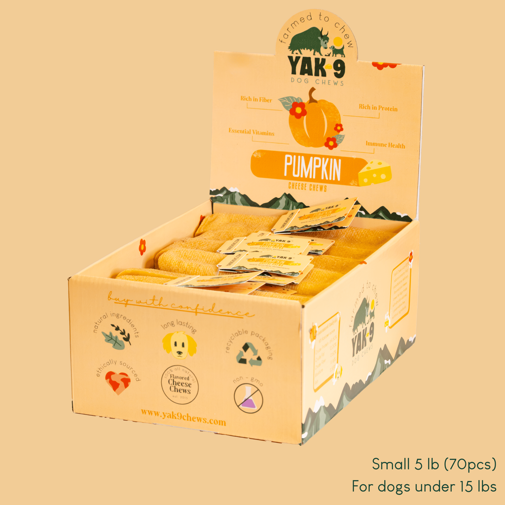 Pumpkin Yak Chews for Dogs – alternate view 8