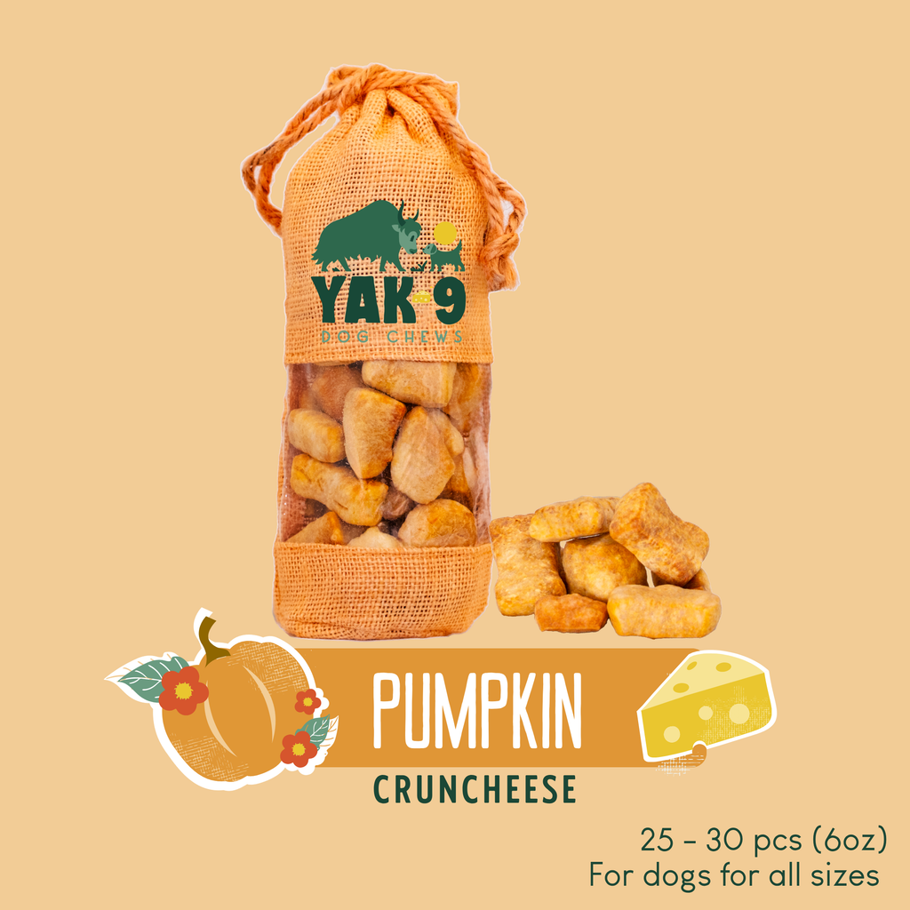 Pumpkin Yak Chews for Dogs – alternate view 10