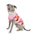 Puppy Love Dog Sweater Colorful Hearts in Pink Orange and Red – photo 1 of 6