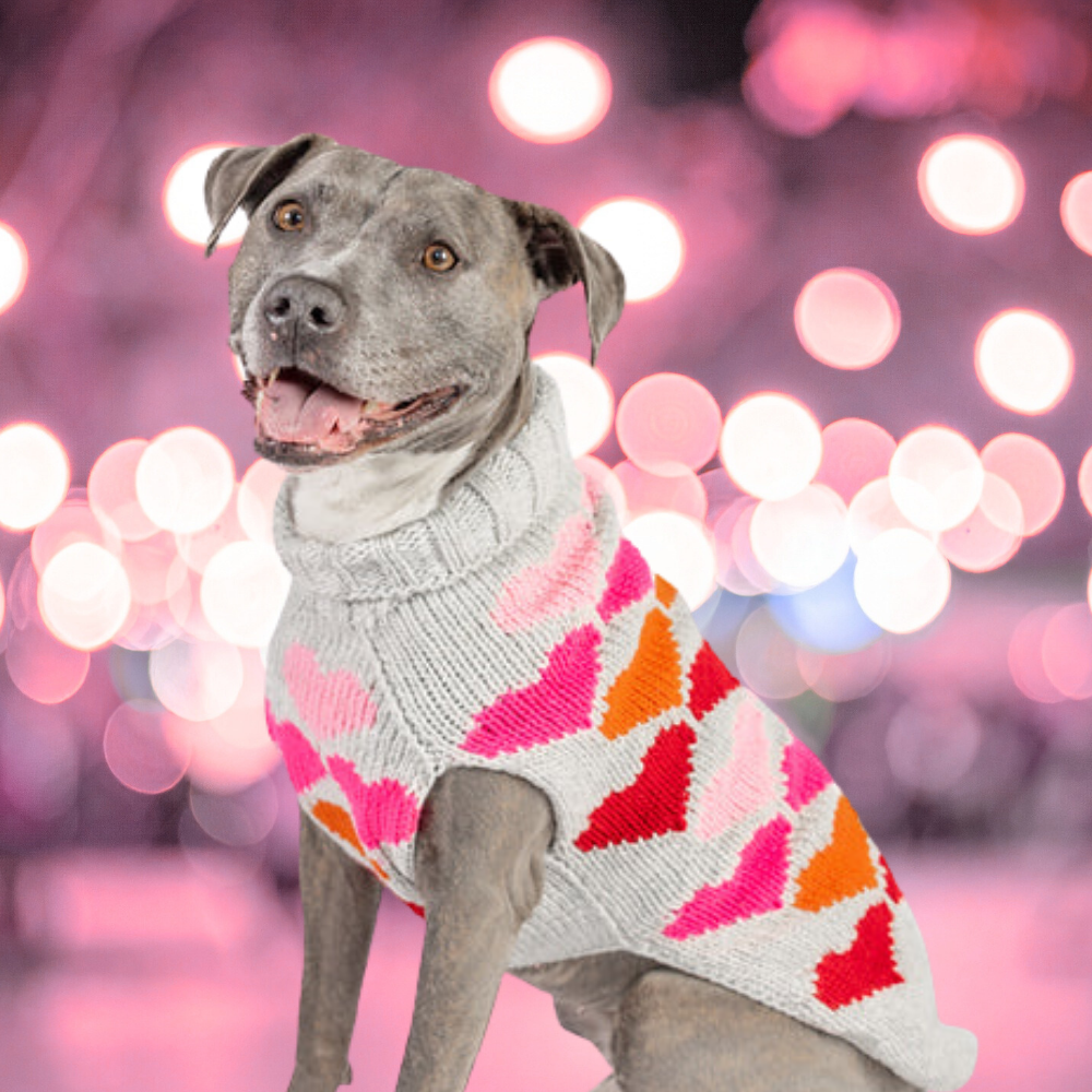 Puppy Love Dog Sweater Colorful Hearts in Pink Orange and Red – photo 6 of 6