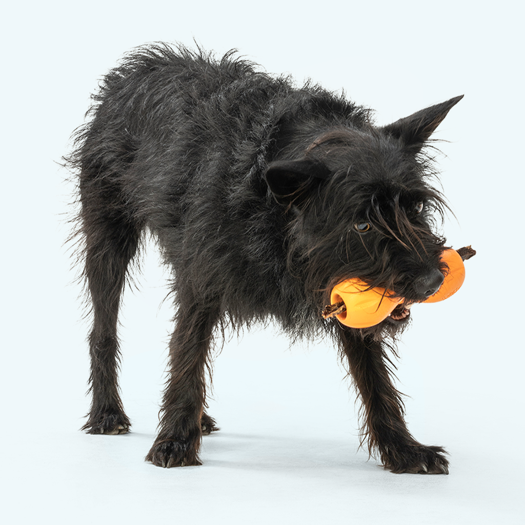 Qwizl Dog Treat Dispensing Toy – alternate view 3