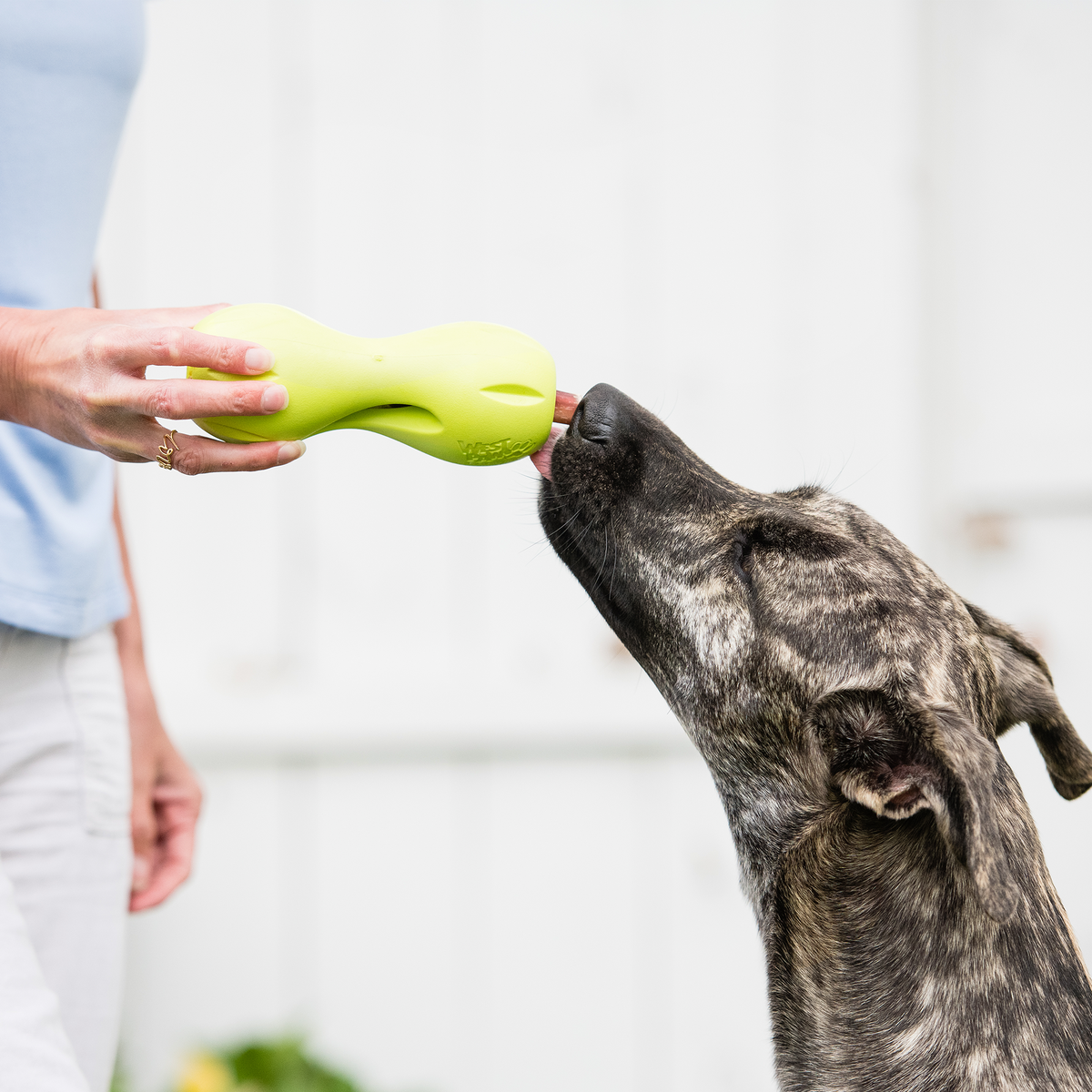 Qwizl Dog Treat Dispensing Toy – alternate view 8