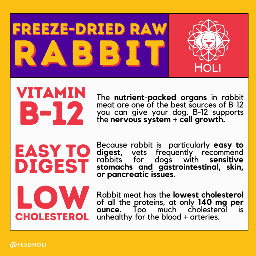Freeze-Dried Rabbit Dog Food Topper – alternate view 3