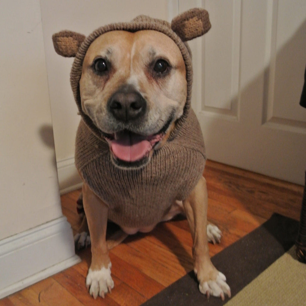Monkey Hoodie Dog Sweater Sock Monkey Style – photo 4 of 6