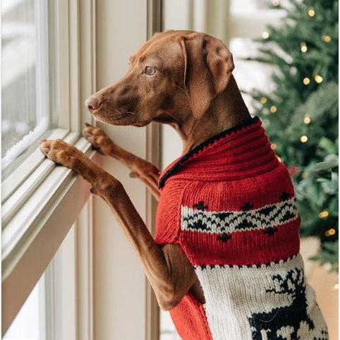 Red Reindeer Shawl Dog Sweater Christmas Red and White – photo 2 of 4