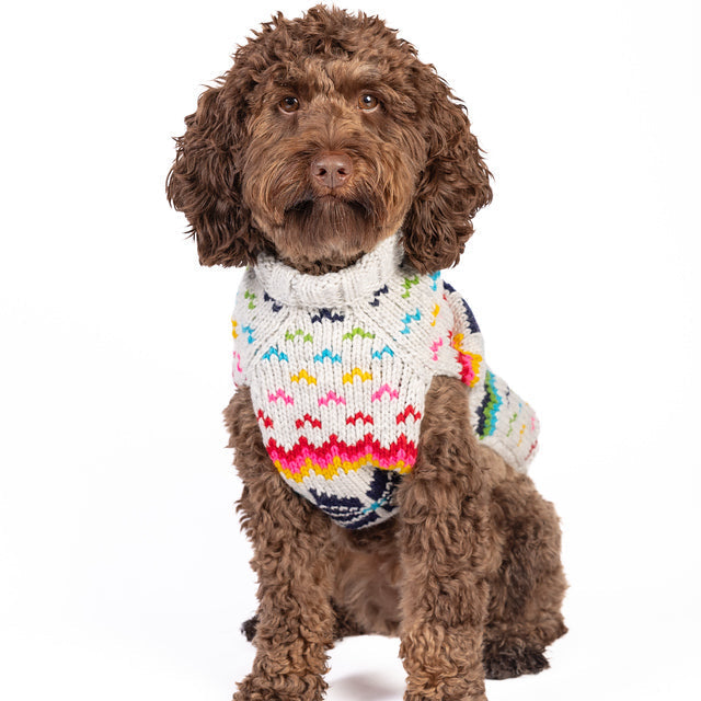 Rainbow Snowflake Dog Sweater Hand Knit – photo 2 of 5