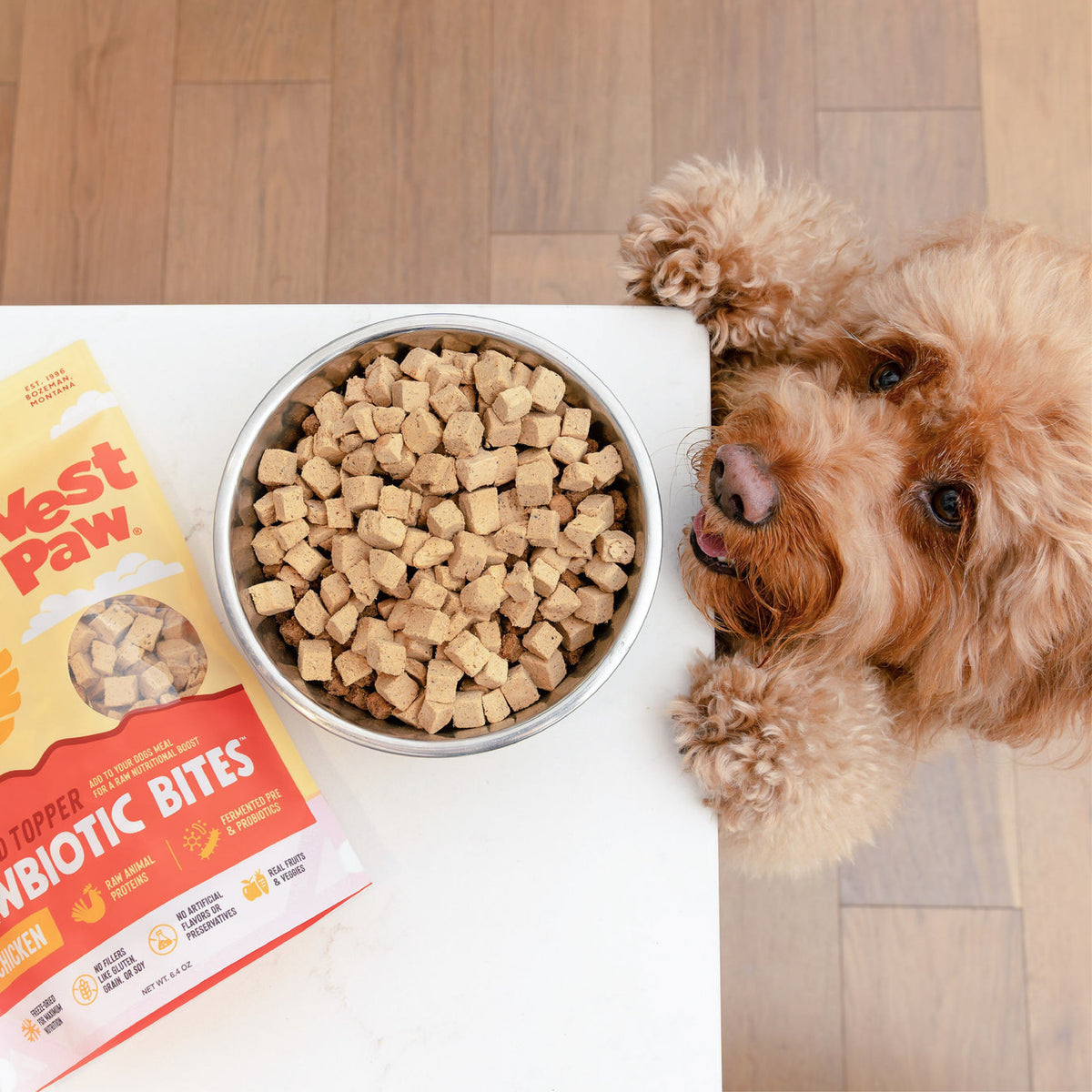 Chicken Dog Food Topper – Rawbiotic Bites – alternate view 2