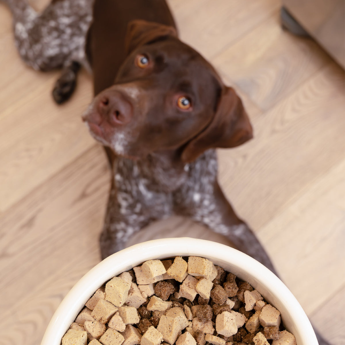 Beef Dog Food Topper – alternate view 5