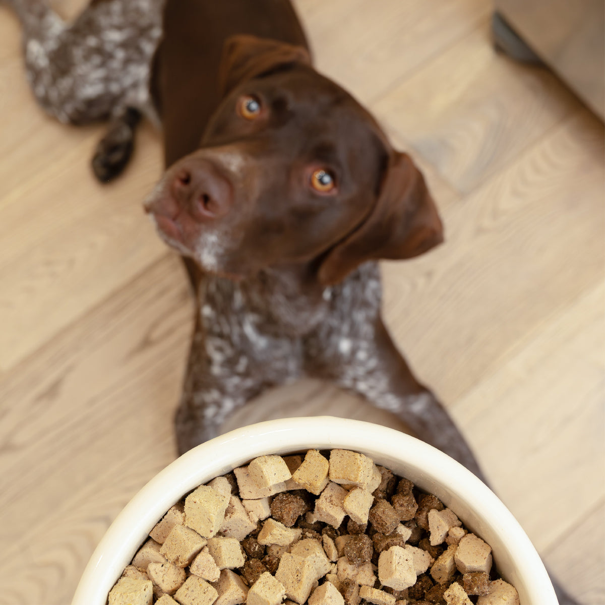 Chicken Dog Food Topper – Rawbiotic Bites – alternate view 4