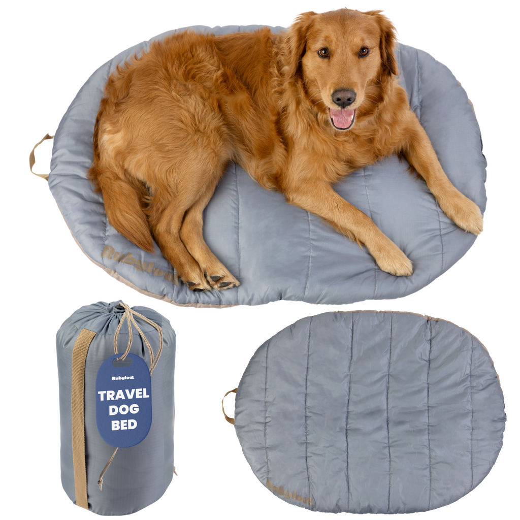 Travel Dog Bed - Foldable & Packable for Travel, Road Trip, Camping – alternate view 9