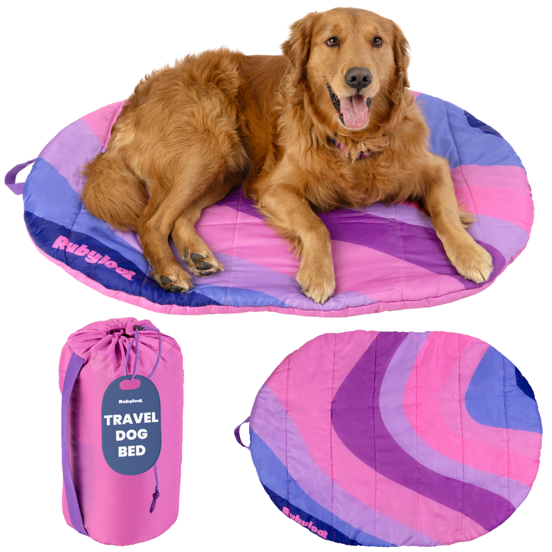 Travel Dog Bed - Foldable & Packable for Travel, Road Trip, Camping – alternate view 8