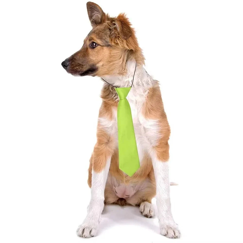 Dog Bow Ties – Stripes, Dots & Solids, Elastic Necktie – front view
