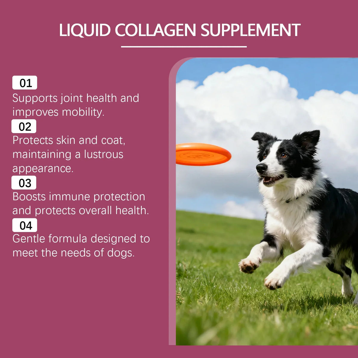 Kriath collagen nutritional drops liquid supplement for dogs – 60 ml bottle – photo 2 of 6