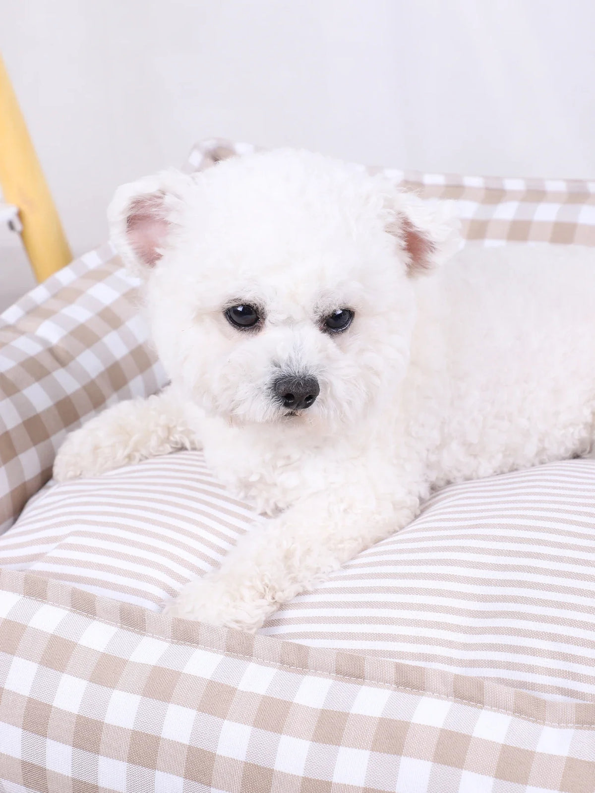 Plaid Dog Bed for Small Dogs – Cozy Sofa Cushion Bed – alternate view 18