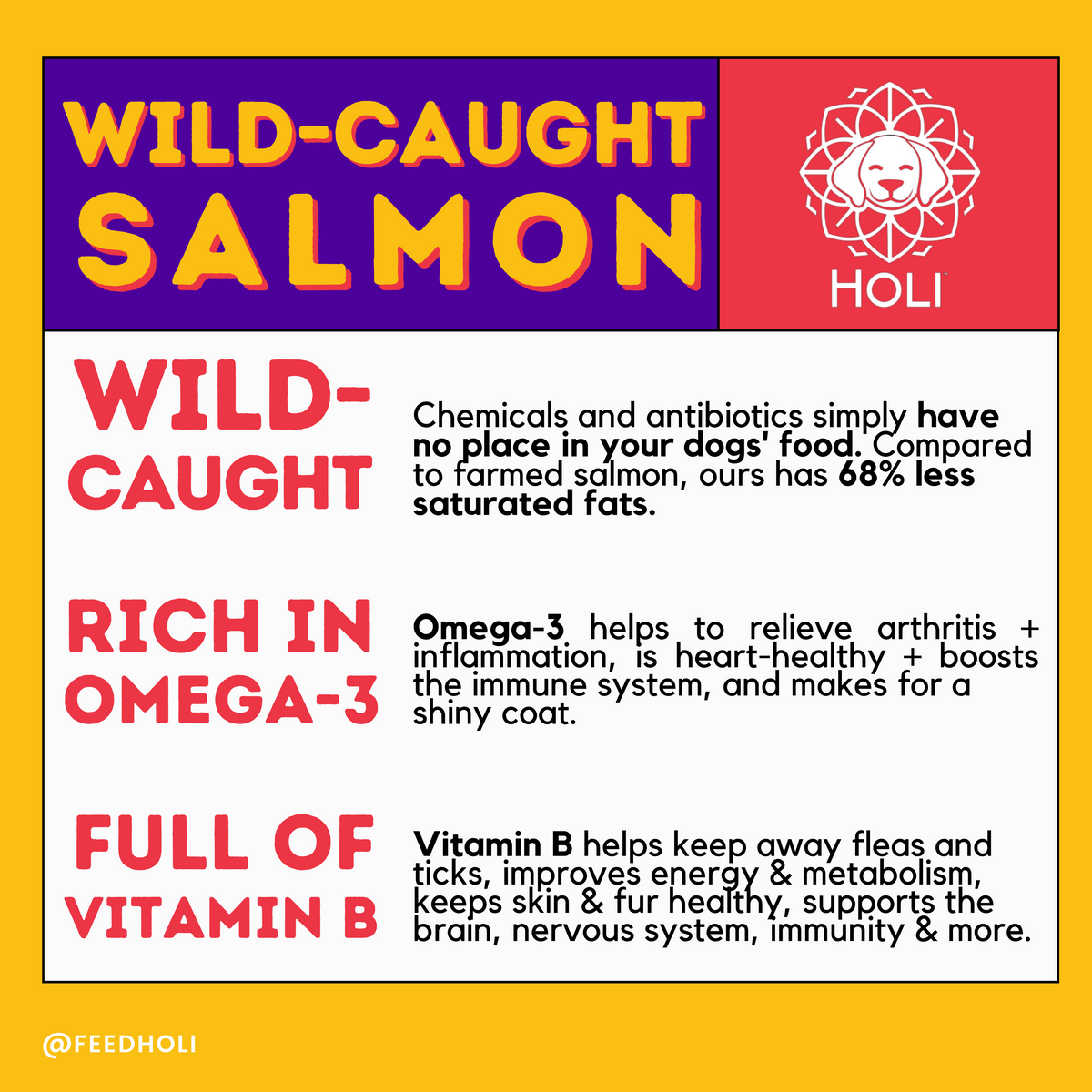 Wild-Caught Salmon Dog Food Topper – Freeze-Dried – alternate view 3