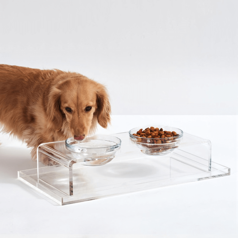 Hiddin Small Glass Bowl Feeder – Lucite Stand – alternate view 4