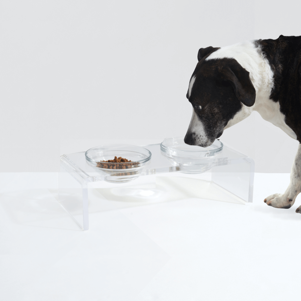 Hiddin Small Glass Bowl Feeder – Lucite Stand – alternate view 12