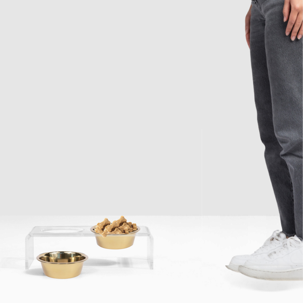 Hiddin Small Gold Feeder – Lucite Stand with Stainless Steel Bowls – alternate view 10