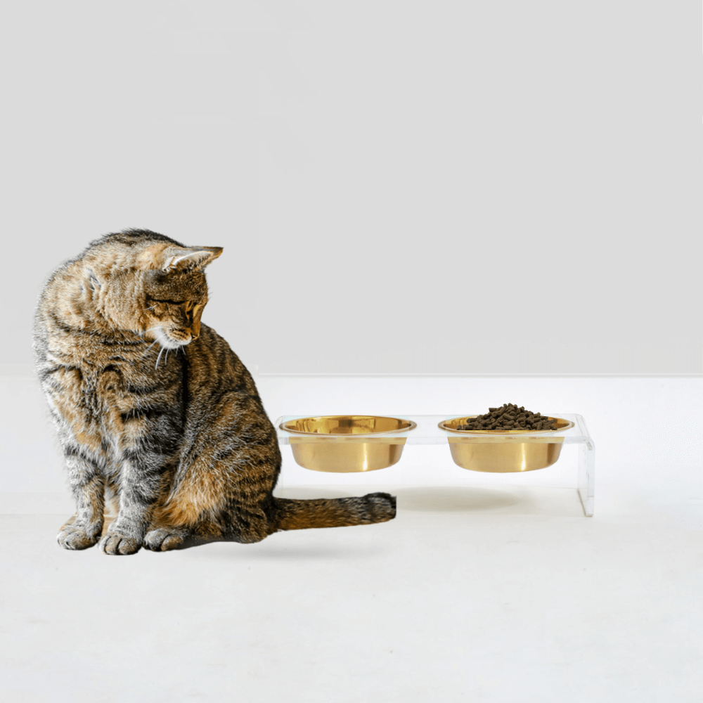 Hiddin Small Gold Feeder – Lucite Stand with Stainless Steel Bowls – alternate view 5