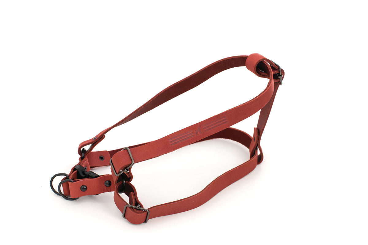 Sport Style Leather Step-In Dog Harness – alternate view 4