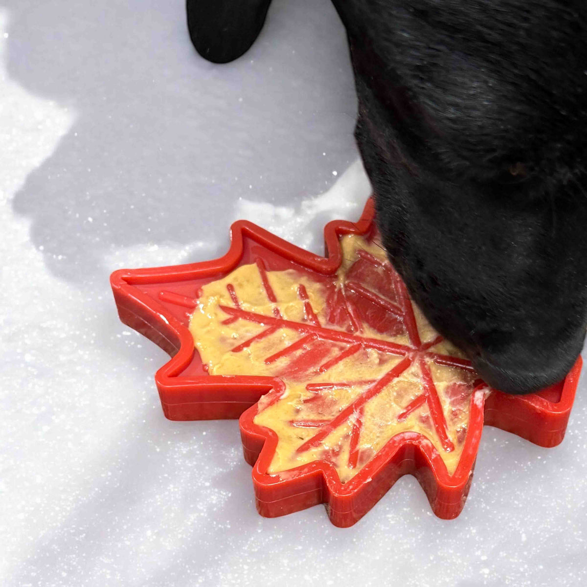 SodaPup Canadian Maple Leaf nylon dog chew toy – photo 10 of 10