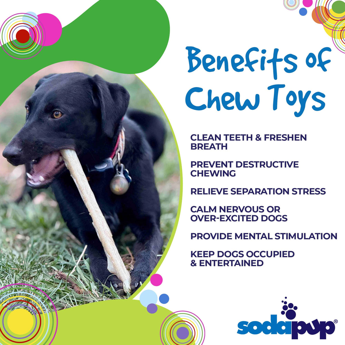 SodaPup glow in the dark nylon chew stick dog toy – photo 5 of 8