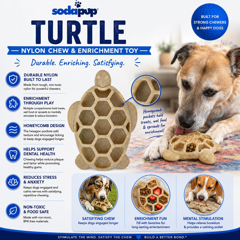 SodaPup Turtle eChew brown nylon chew and enrichment toy – photo 3 of 8