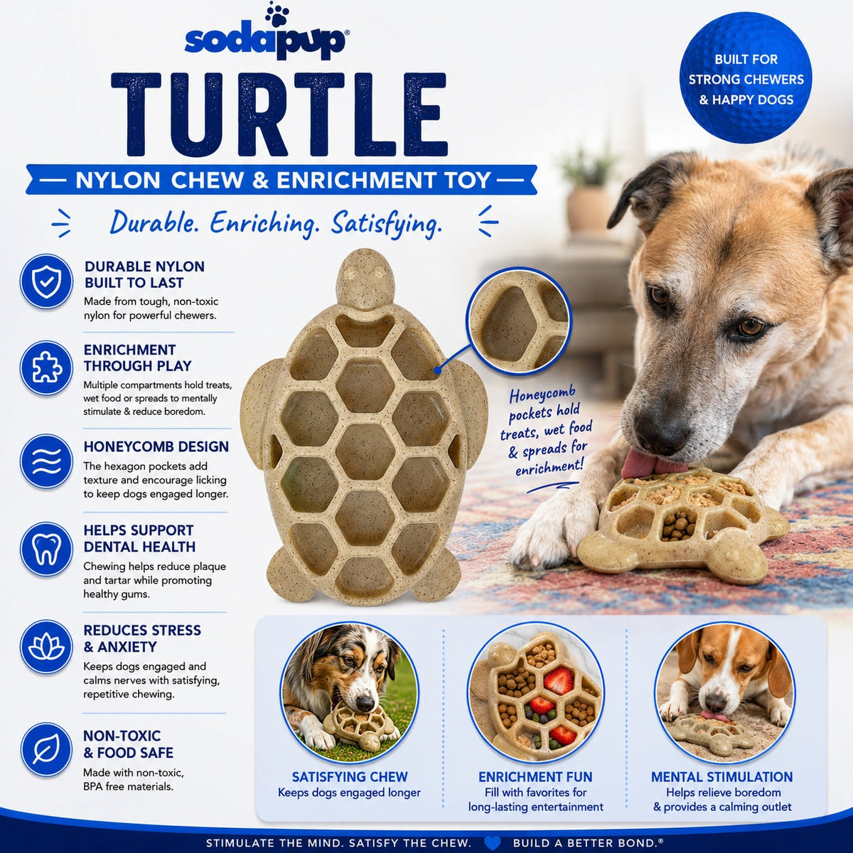SodaPup Turtle eChew brown nylon chew and enrichment toy – photo 3 of 8