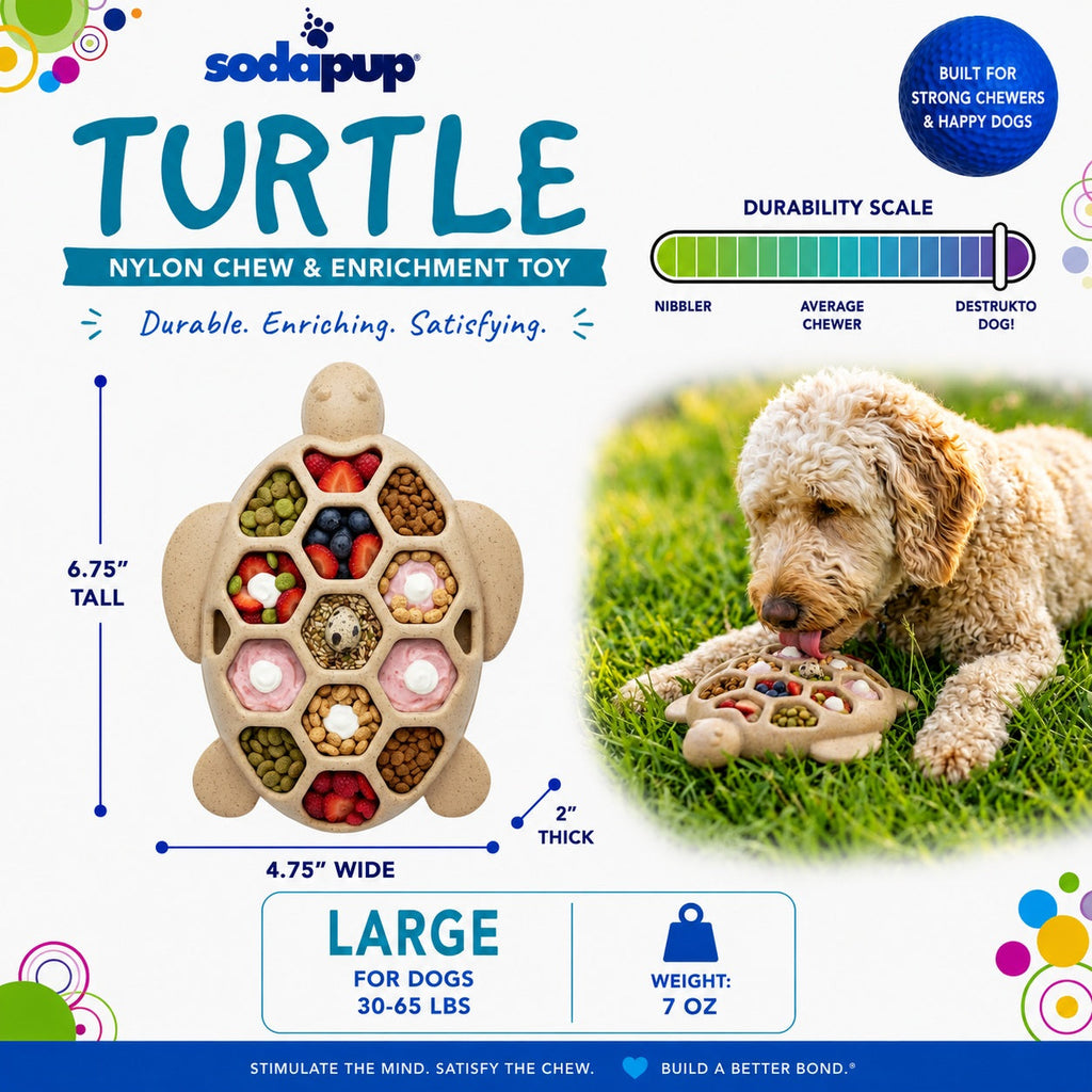 SodaPup Turtle eChew brown nylon chew and enrichment toy – photo 4 of 8