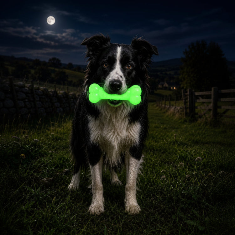 SodaPup PUP-X glow in the dark rubber chew bone dog toy – photo 8 of 10