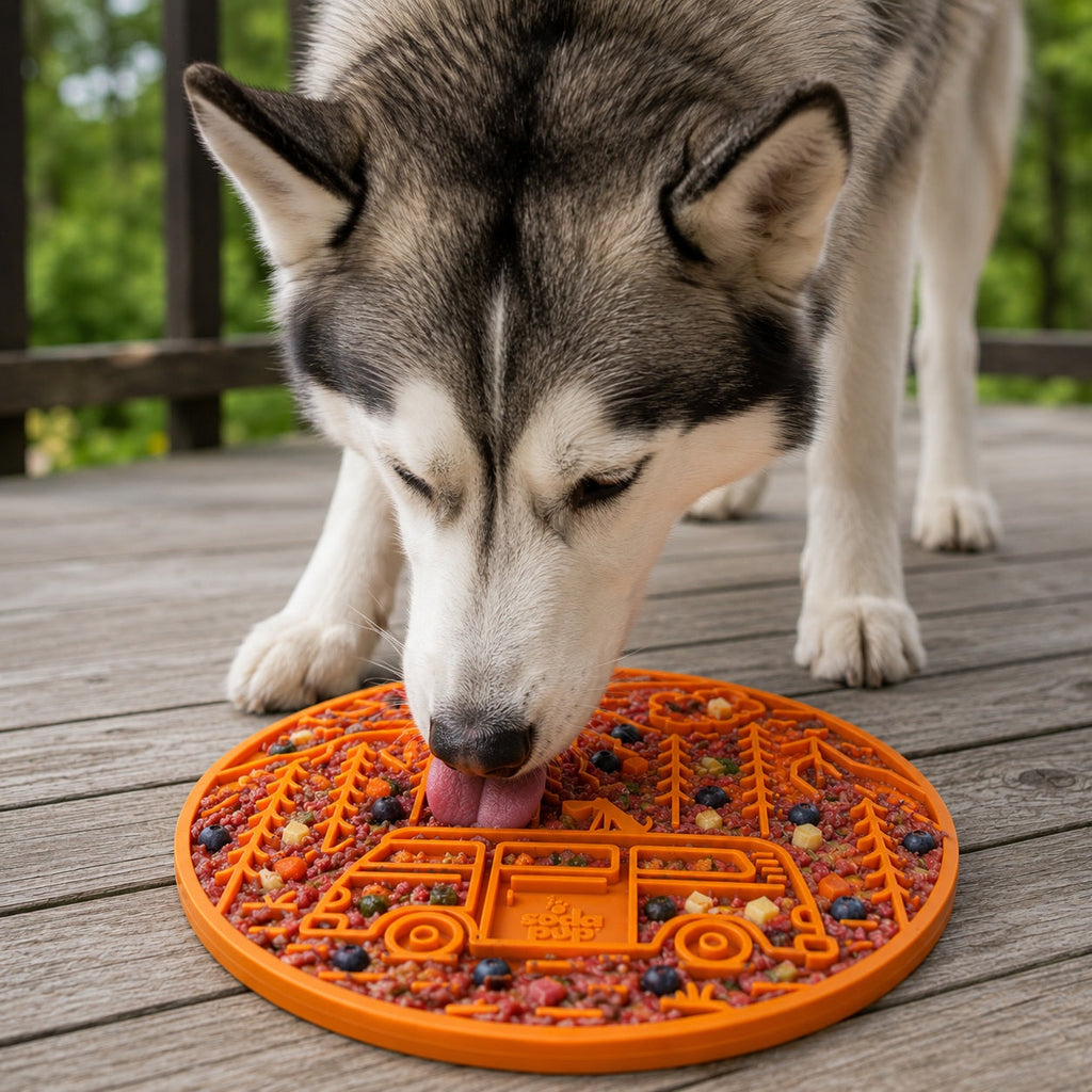 Camp Retro Van Enrichment Lick Mat – Suction Cups, USA Made – alternate view 11