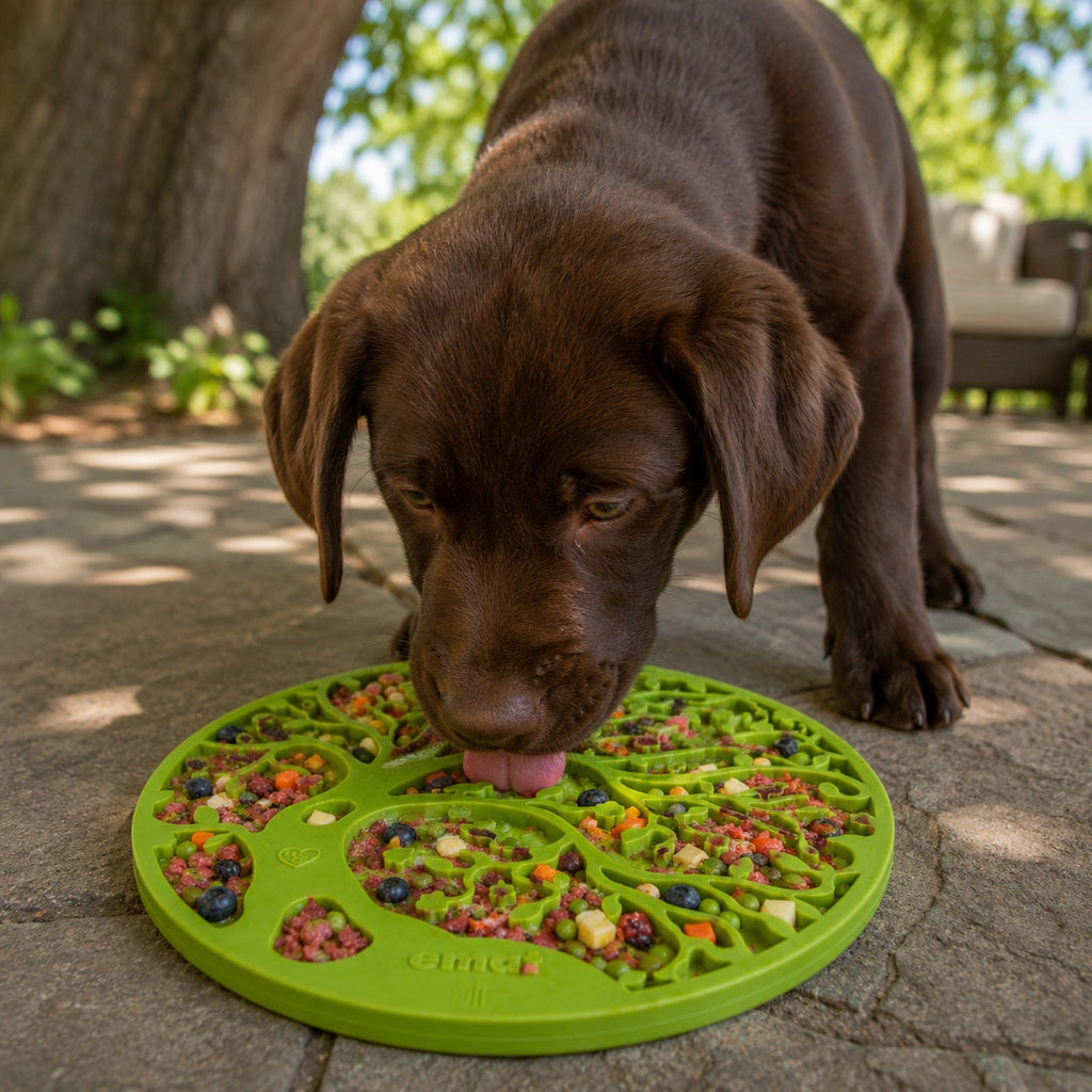 Tree of Life Enrichment Lick Mat – Suction Cups, USA Made – alternate view 3