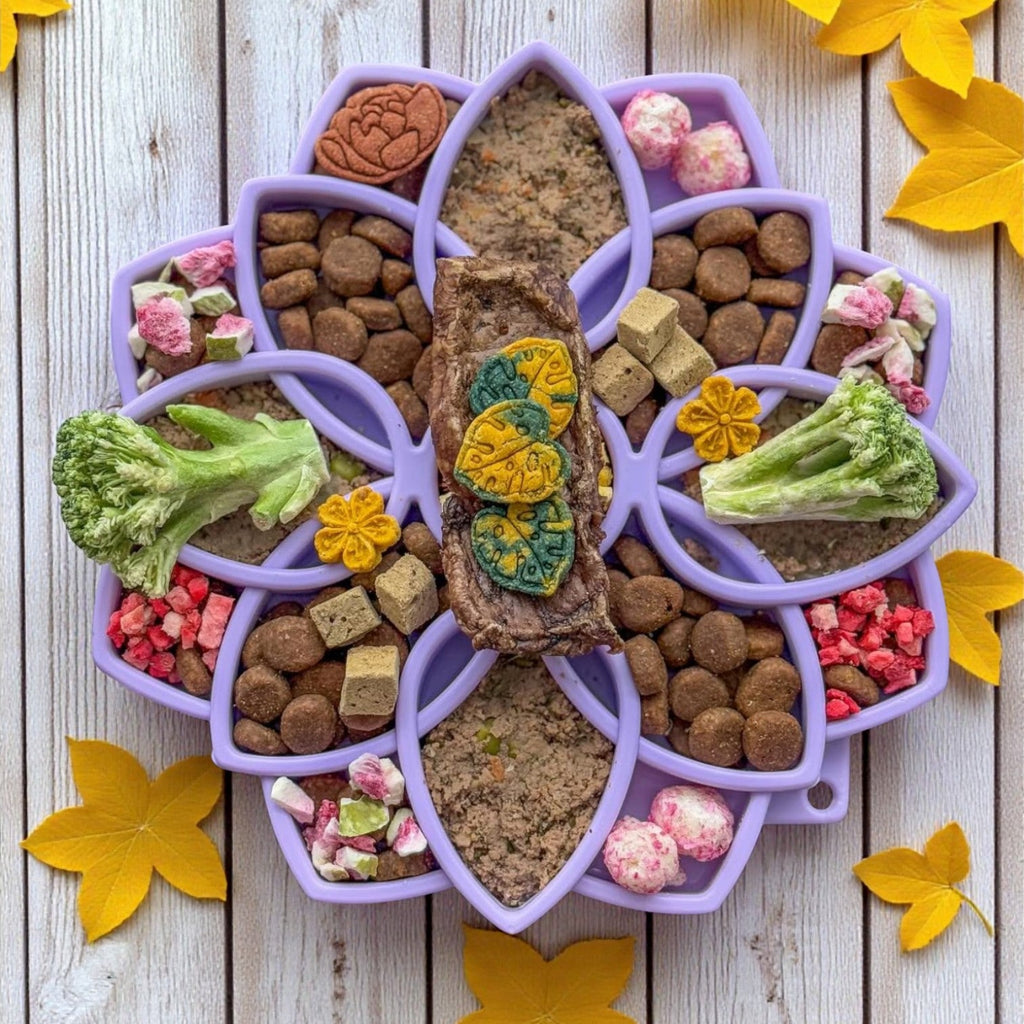 SodaPup Mandala Softie eTray – Suction Cup Feeder – alternate view 1