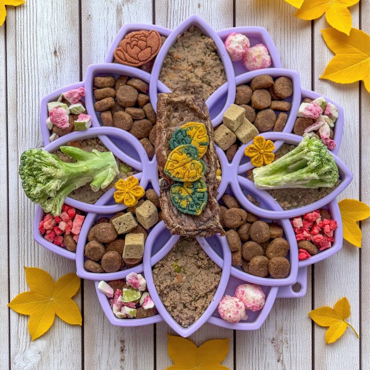 SodaPup Mandala Softie eTray – Suction Cup Feeder – alternate view 1