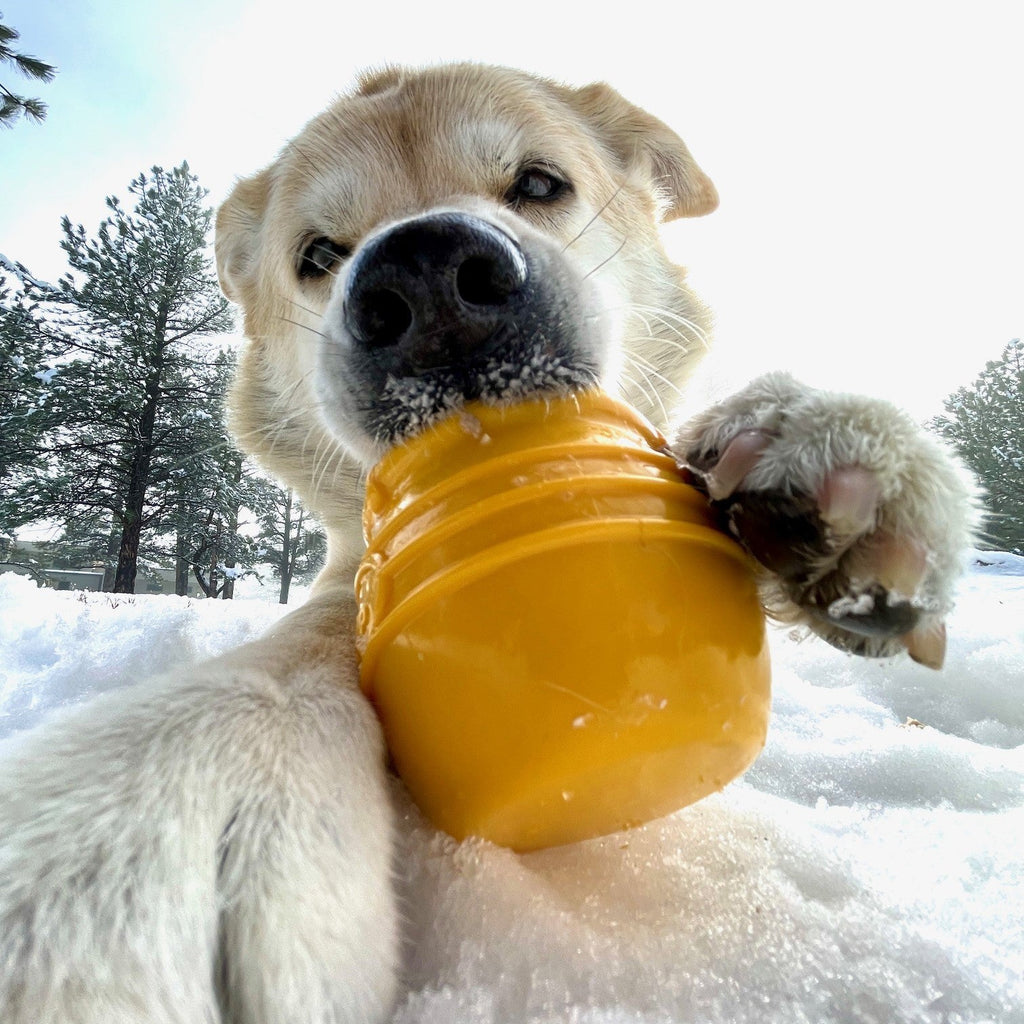 SodaPup Honey Pot Treat Dispenser Toy – alternate view 3