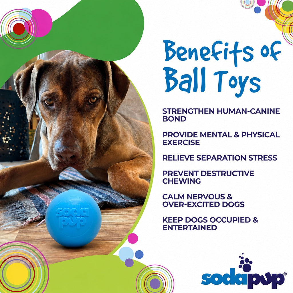 SodaPup Squeak Ball squeaky floating dog toy – photo 6 of 16